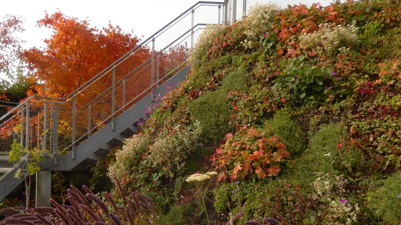 12 3 Steilböschung Herbst Stahltreppe3
