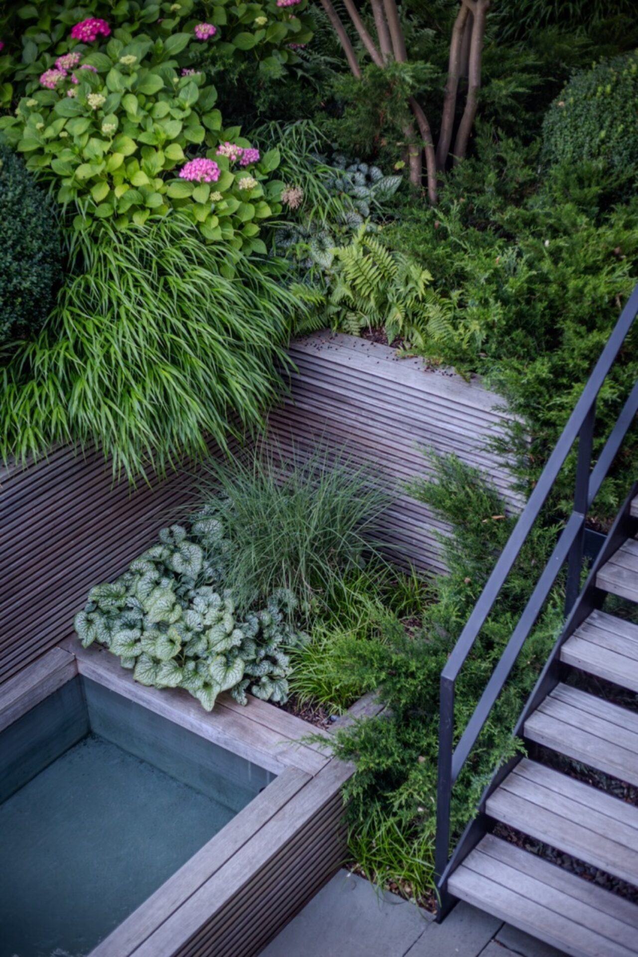 08 Lsla Amelanchier Juniperus Hydrangea Brunnera Garten Design Brunnen Treppe Schrank Pflanzen Holz Ipe Garten Gestaltung