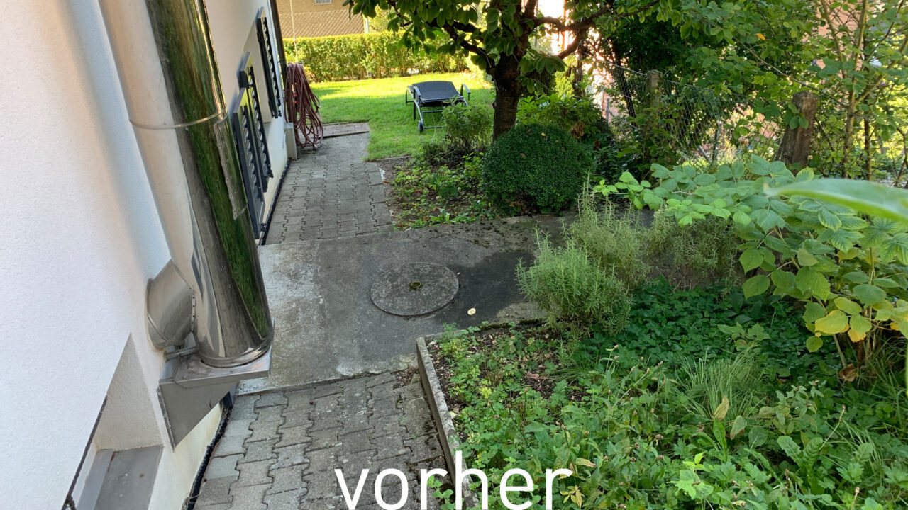 10 Vorher