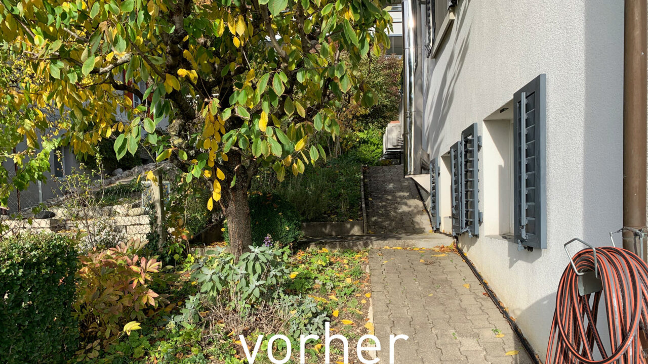 12 Vorher