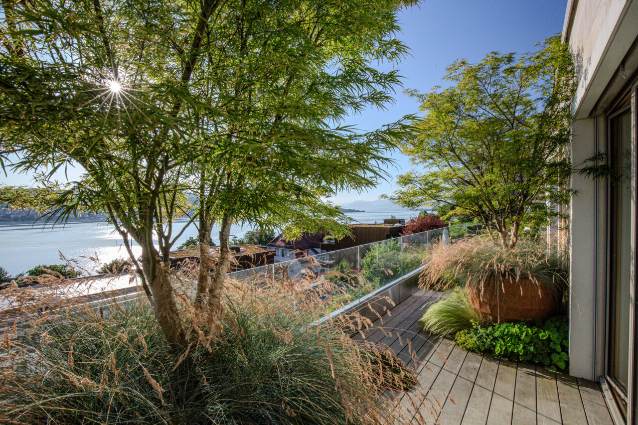 Lsla Gestaltung Garten Terrasse Atelier Vierkant Ipe Holz Grün Acer Palmatum Festuca Alchemilla 2