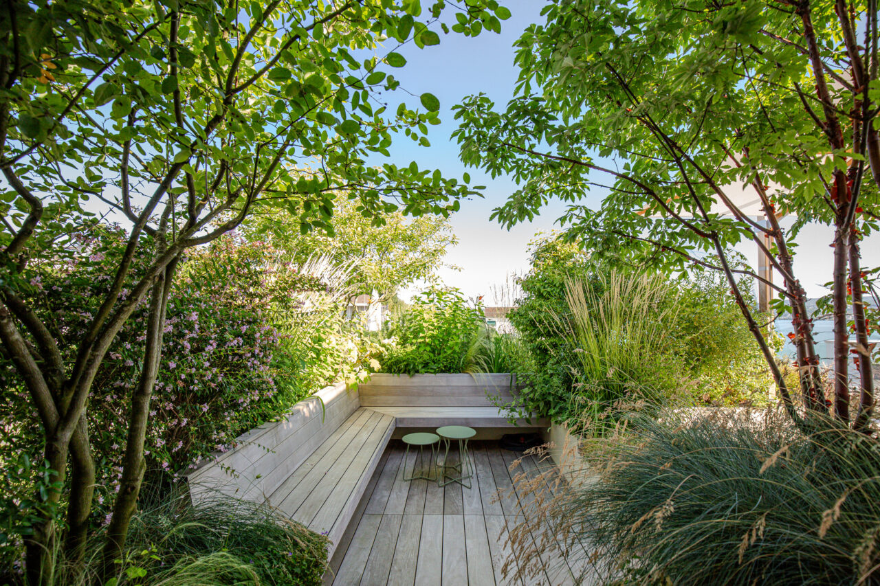 Lsla Gestaltung Garten Terrasse Ipe Holz Grün Amelanchier Alchemilla Calamagrostis 1