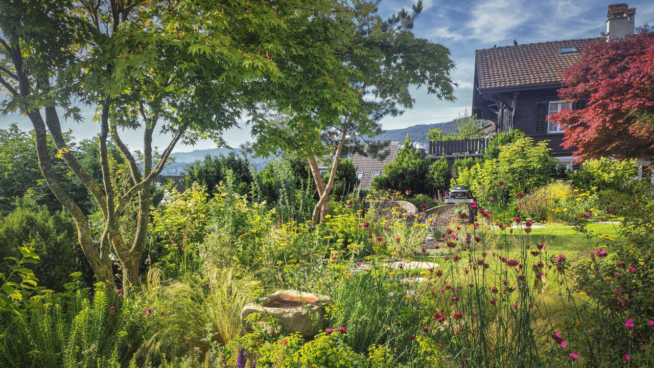 2 Design Garten Ahorn Beton Mediterran