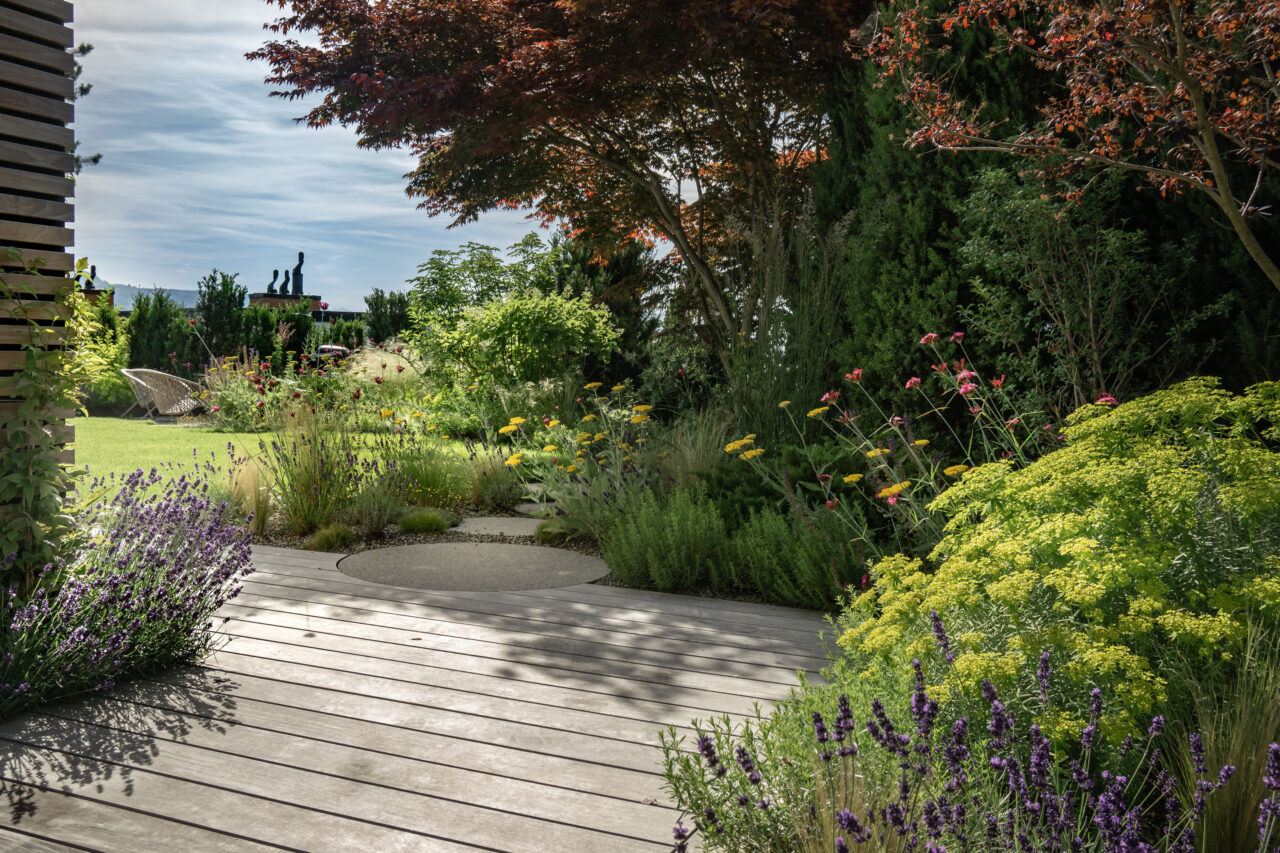 6 Design Garten Ahorn Beton Mediterran Holz Euphorbia