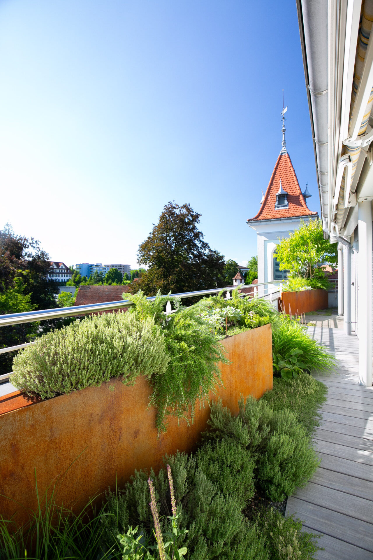Lsla Landschaftsarchitektur Gestaltung Stahl Stauden Acer Palmatum Kriecher Hakonechloa Taxus Rosmarin 2