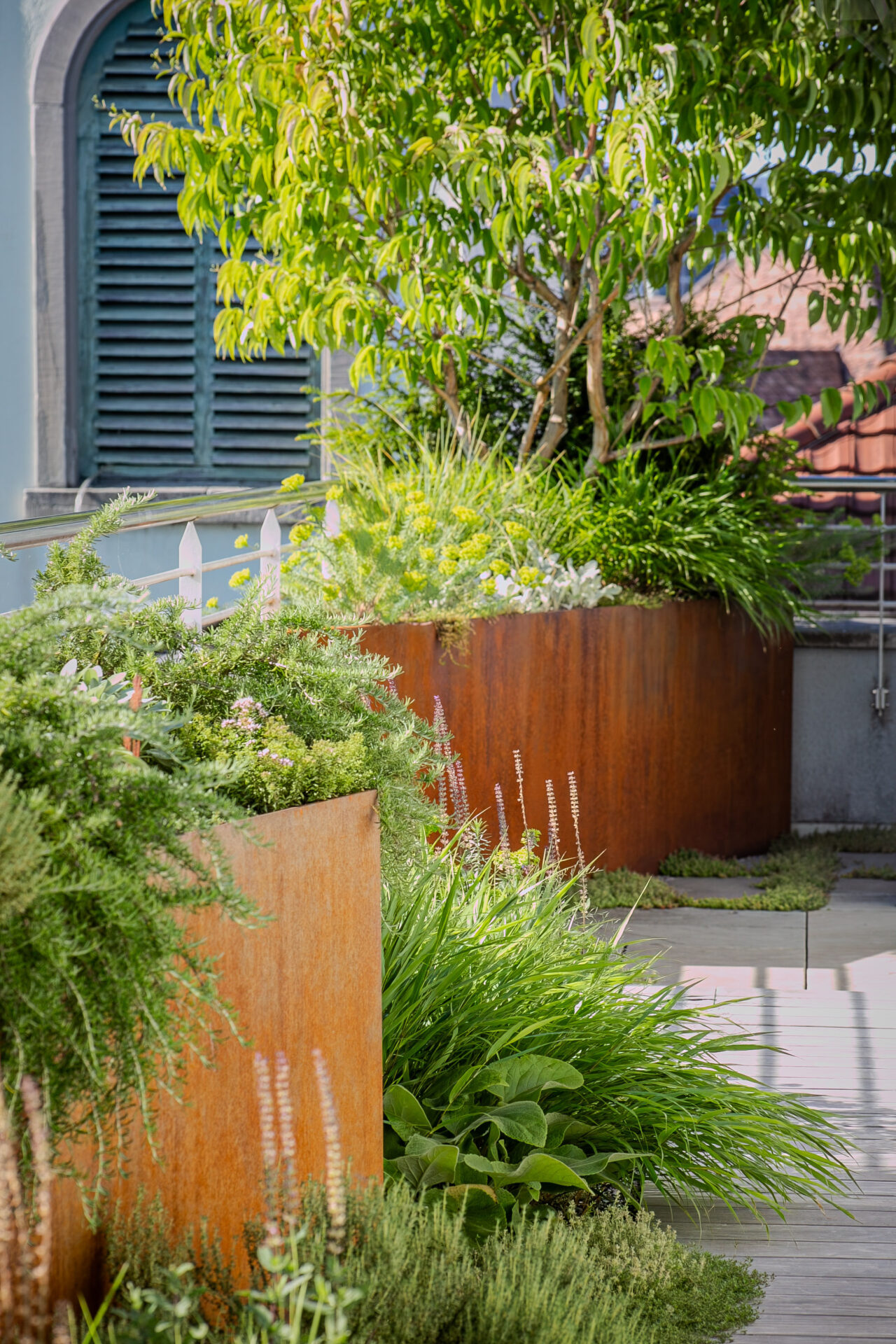 Lsla Landschaftsarchitektur Gestaltung Stahl Stauden Heptacodium Kriecher Hakonechloa Taxus Rosmarin